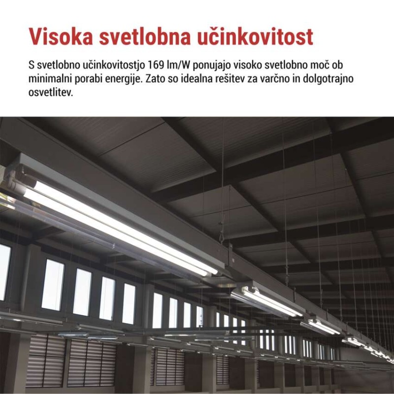 LED cev T8 6,5 W 60 cm Hladna bela 10 kos.