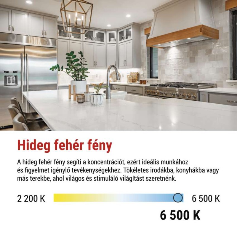 LED izzó Classic A60 / E27 / 14 W (120 W) / 1901 lm / Hideg fehér