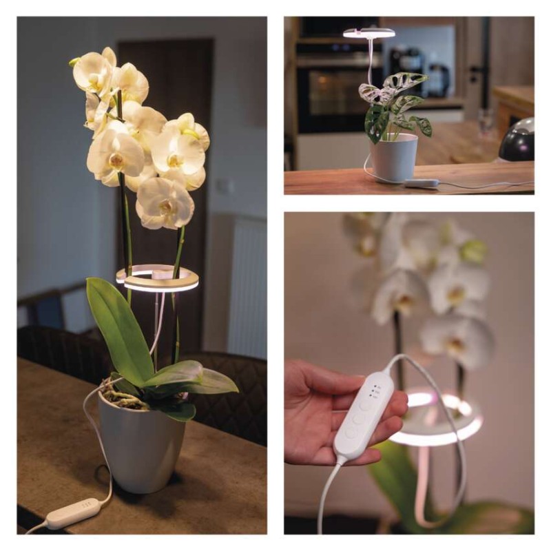 LED növénynevelő lámpa, teljes spektrum, 39 LED, beltéri, időzítővel, dimmelhető