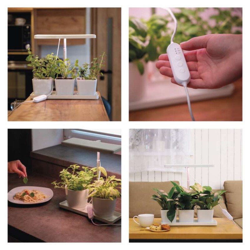 Pflanzenlampe LED Vollspektrum, 30 LEDs, für Innenräume, mit Zeitschaltuhr, dimmbar