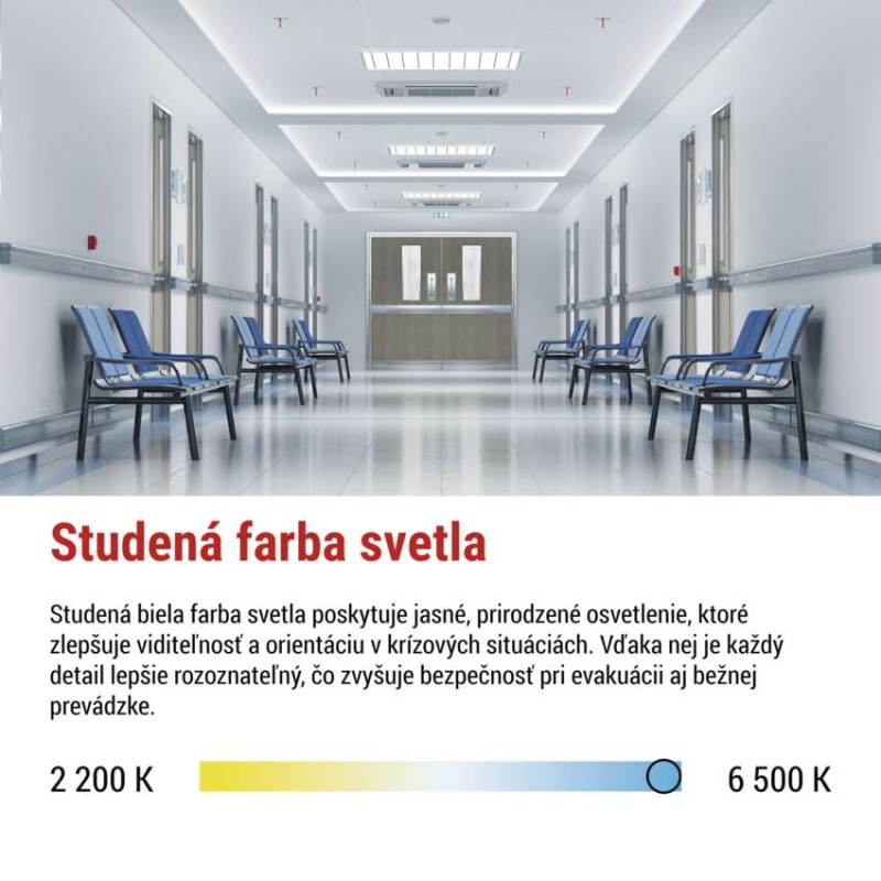 LED Núdzové svietidlo NESSI 3W 3H IP66