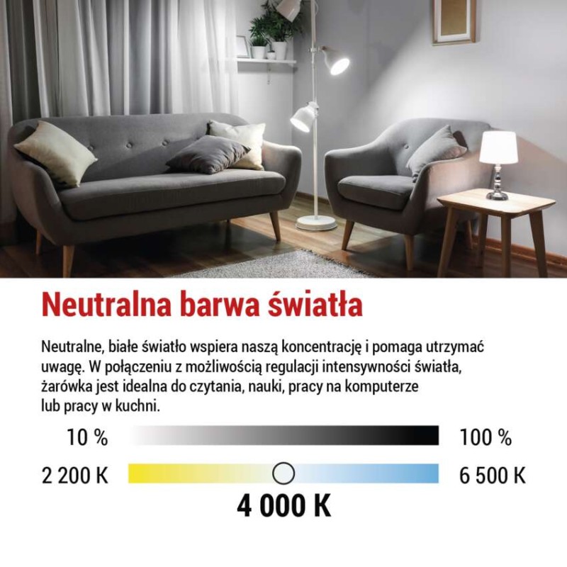 Żarówka LED Filament A60 / E27 / 7,5 W (75 W) / 1 055 lm / neutralna biel / ściemnialna