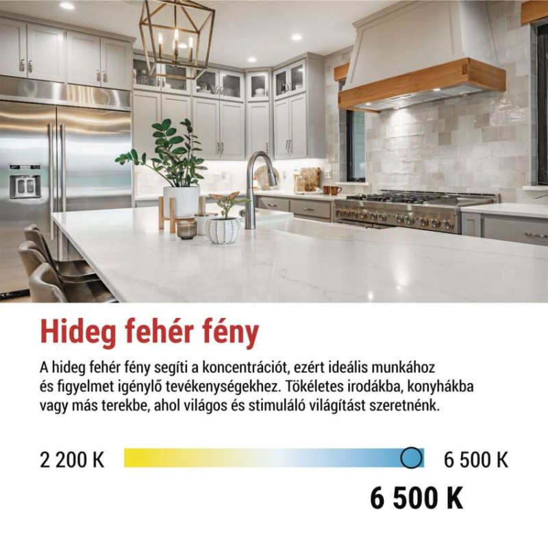 LED izzó Classic JC / G9 / 4,9 W (60 W) / 806 lm / Hideg fehér