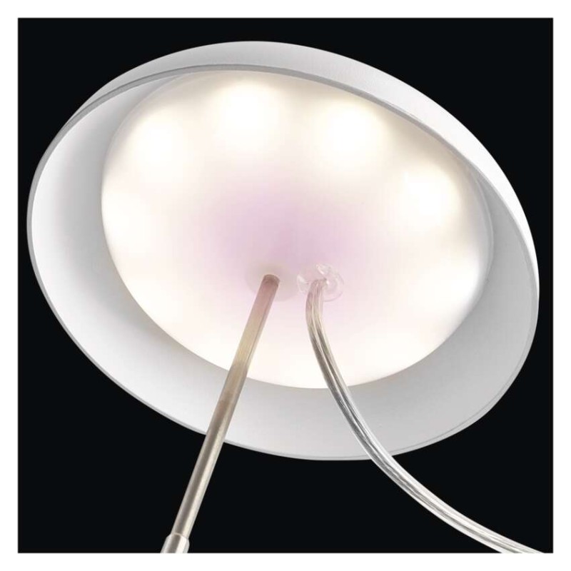 Pflanzenlampe LED Vollspektrum, 15 LEDs, für Innenräume, mit Zeitschaltuhr