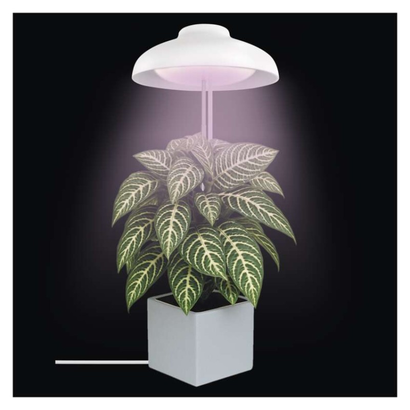 Pflanzenlampe LED Vollspektrum, 15 LEDs, für Innenräume, mit Zeitschaltuhr