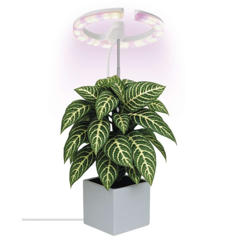LED GROW pestovateľská lampa 8 W, časovač, stmievateľná, biela