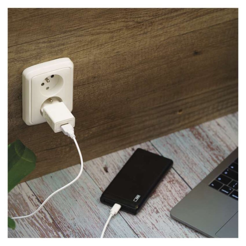 Zasilacz USB BASIC 1A (5W) max.