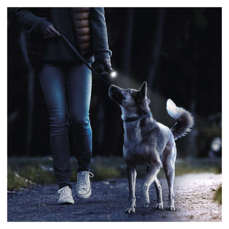 LED ruční svítilna GP Everyday C105, 50 lm