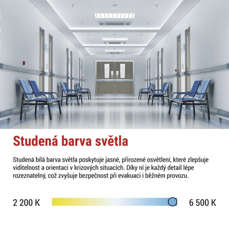LED Nouzové svítidlo NESSI 10W 3h IP66