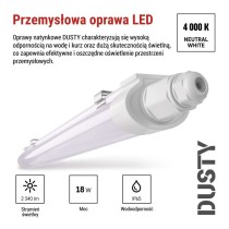 Oprawa natynkowa LED DUSTY, naścienna, 18W,NW, IP65