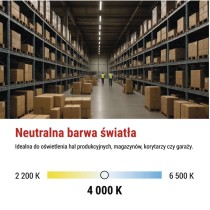 Oprawa natynkowa LED DUSTY, naścienna, 18W,NW, IP65