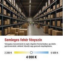 EMOS LED porálló lámpa DUSTY 50W IP65 6500lm természetes fehér