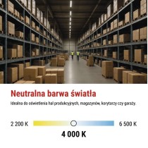 Oprawa natynkowa LED DUSTY, naścienna, 50W,NW, IP65