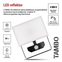 LED-es reflektor TAMBO mozgásérzékelővel, 30 W, 3000 lm, fekete