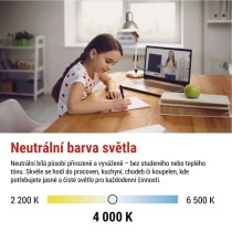 LED žárovka Filament A60 / E27 / 5,9 W (60 W) / 806 lm / Neutrální bílá