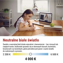 Żarówka LED Filament A60 / E27 / 5,9 W (60 W) / 806 lm / Neutralna biel
