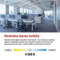 Żarówka LED liniowa T8 9 W 60 cm neutralna biel 25 szt.