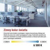 Żarówka LED liniowa T8 9 W 60 cm Zimna biel 25 szt.