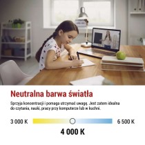 Żarówka LED Filament A CLASS A60 / E27 / 5 W (75 W) / 1 060 lm / neutralna biel
