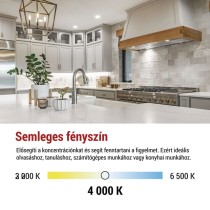 LED izzó Classic MR16 A CLASS/ GU10 / 3 W (40 W) / 535 lm / Természetes fehér