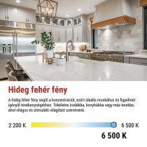 LED izzó Classic JC / G9 / 4,2 W (40 W) / 470 lm / Hideg fehér / 2 pcs