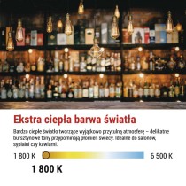 Żarówka LED DECO T30/ E27 / 2 W (11 W) / 100 lm / flame