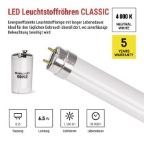LED-Leuchtstofflampe T8 6,5 W 60 cm neutralweiß 10 St.