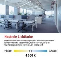 LED-Leuchtstofflampe T8 6,5 W 60 cm neutralweiß 10 St.