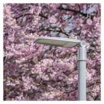 LED publiskais gaismeklis SOLIS 70W, 8400 lm, neitrāli balts