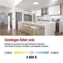 LED felületi lámpatest FLORI kerek, fehér, 22W, semleges fehér