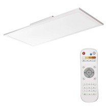 LED lampa RIVI, 30 x 60 cm, 25 W, silti un auksti balta, aptumšojama ar tālvadības pulti