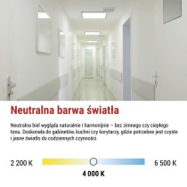 Panel LED VEXXO 60×60 33W Powiązany IP20 neutralna biel UGR