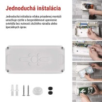 LED Núdzové svietidlo NESSI 4W 3H IP66