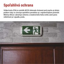 LED Núdzové svietidlo NESSI 4W 3H IP66