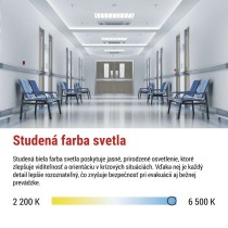 LED Núdzové svietidlo NESSI 4W 3H IP66