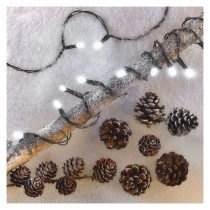 Lampki choinkowe Classic 100 LED 5m zimna biel, zielony przewód, IP20