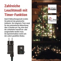 LED Weihnachtslichterkette Cherry – Kugeln, 8 m, Außen und Innen, kaltweiß,Programme,Timer