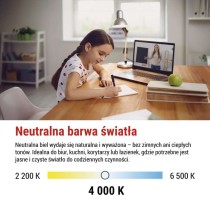 Żarówka LED Classic świeczka  / E14 / 2,2 W (25 W) / 250 lm / neutralna biel
