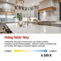 LED izzó Classic A60 / E27 / 14 W (120 W) / 1901 lm / Hideg fehér