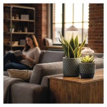 LED GROW pestovateľská lampa 5 W, časovač, biela