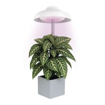 LED GROW pěstební lampa 5 W, časovač, bílá