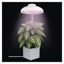 LED GROW pěstební lampa 5 W, časovač, bílá