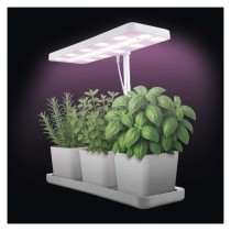 Pflanzenlampe LED Vollspektrum, 30 LEDs, für Innenräume, mit Zeitschaltuhr, dimmbar