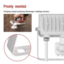 Naświetlacz LED GLARO PIR 10 W, biały, IP54, 1000 lm, neutralna biel
