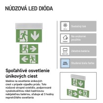 LED Núdzové svietidlo CESSI 3W 3H MT