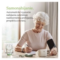 Nabíjacia batéria GP ReCyko 3000 (C), 2 ks