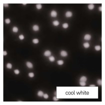 LED dekoratívny projektor – padajúce vločky, vonkajší aj vnútorný, biela