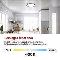 LED felületi lámpatest FLORI fekete, fehér, 22W, semleges fehér