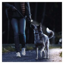 LED ruční svítilna GP Everyday C105, 50 lm