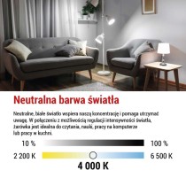 Żarówka LED Filament A60 / E27 / 7,5 W (75 W) / 1 055 lm / neutralna biel / ściemnialna